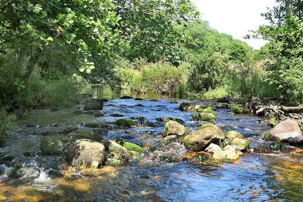 the river camel at helsbury park