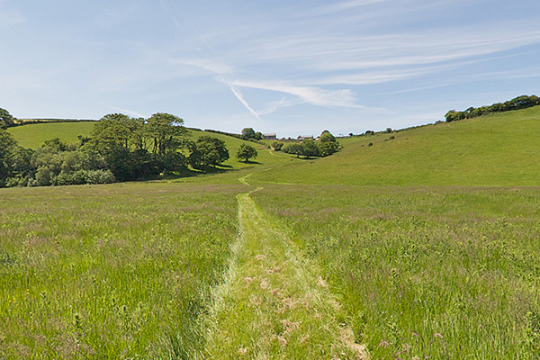 dog friendly holiday cottages in cornwall