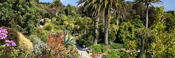 gardens to visit in cornwall