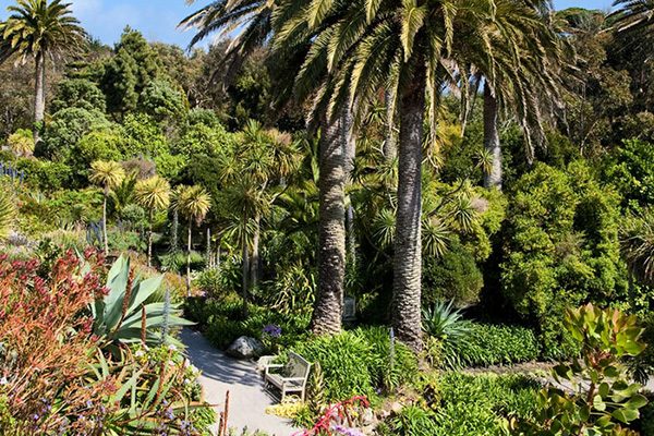 gardens to visit in cornwall