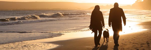 Places to walk your dog in north cornwall