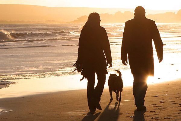 Places to walk your dog in north cornwall