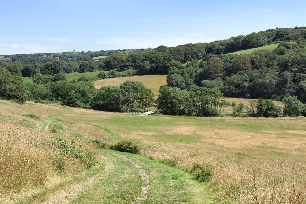 tracks guide the way at helsbury park