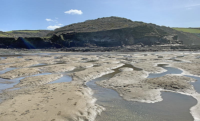 crackington haven