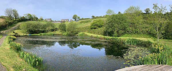 Helsbury Park Pond Wildlife Nature Walks