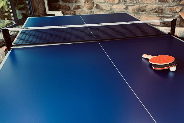 helsbury table tennis table