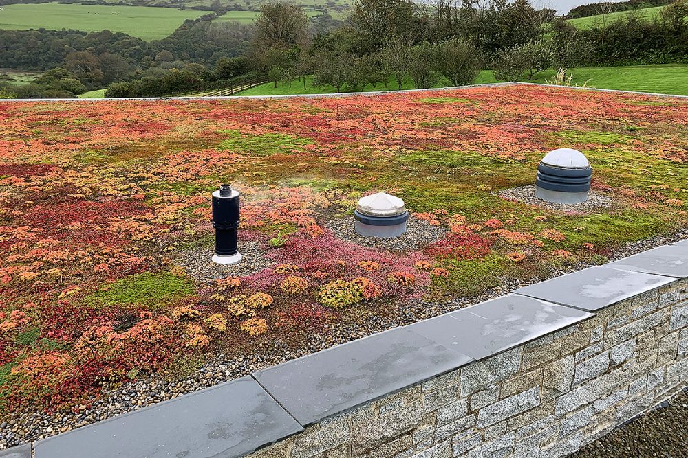 helsbury pool sedum roof