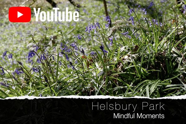helsbury park mindful moments