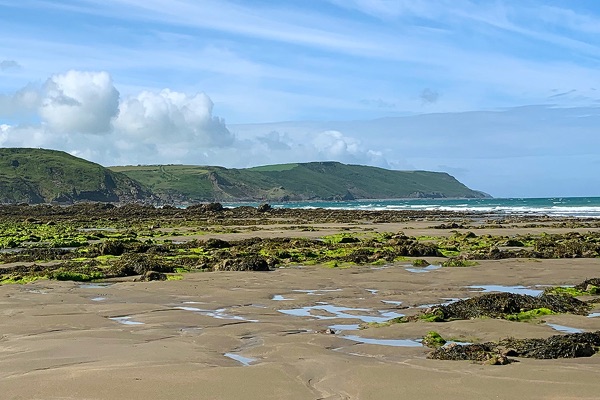 dog friendly holiday cottages in cornwall