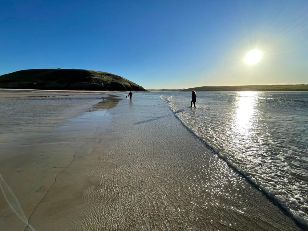 Crackington haven dog friendly cheap