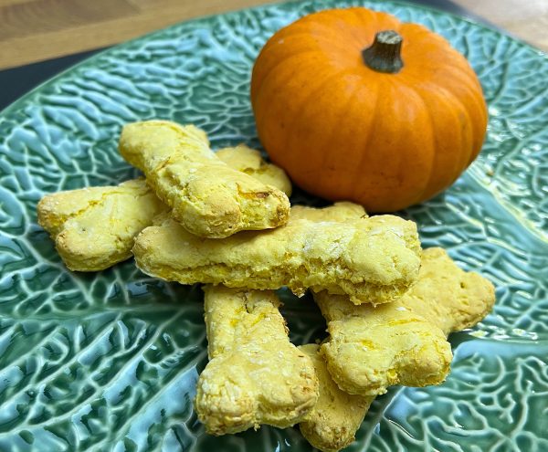 pumpkin dog treats