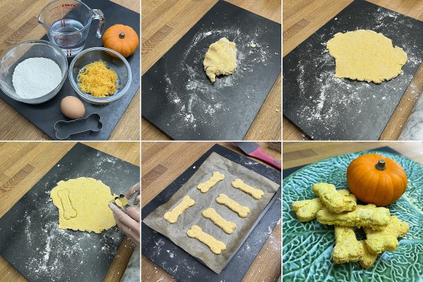 pumpkin dog biscuits