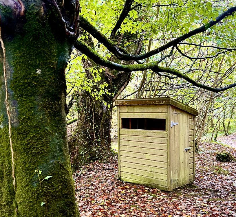 helsbury woods bird hide