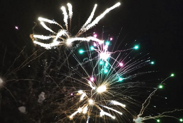 dog firework safe