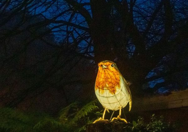 heligan christmas