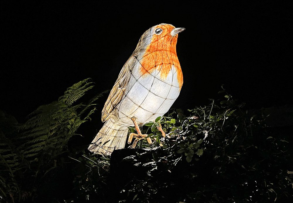 heligan robin