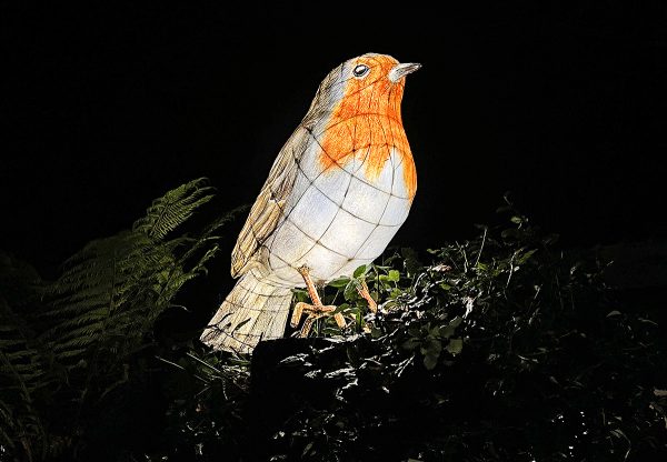 heligan robin