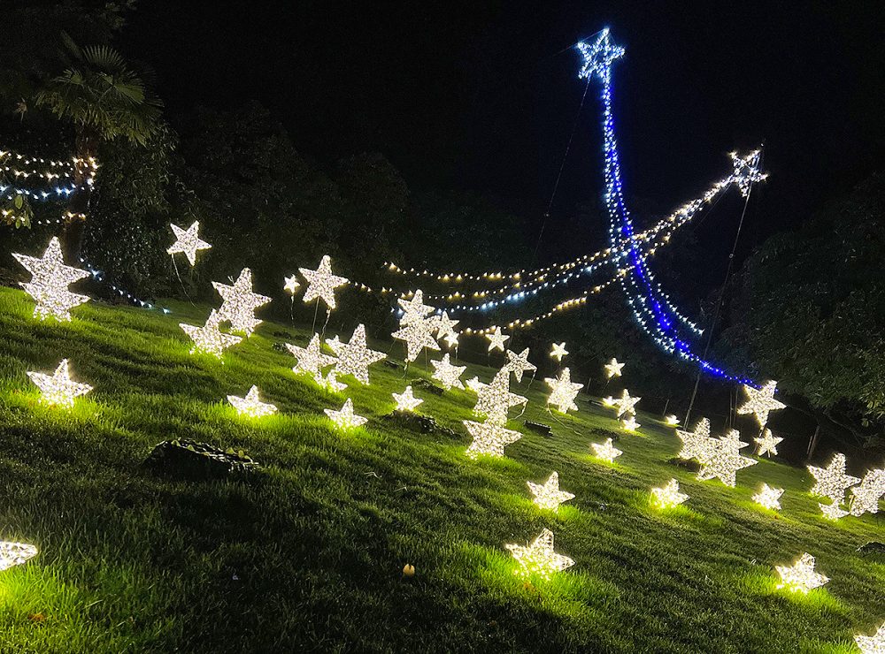 heligan night garden