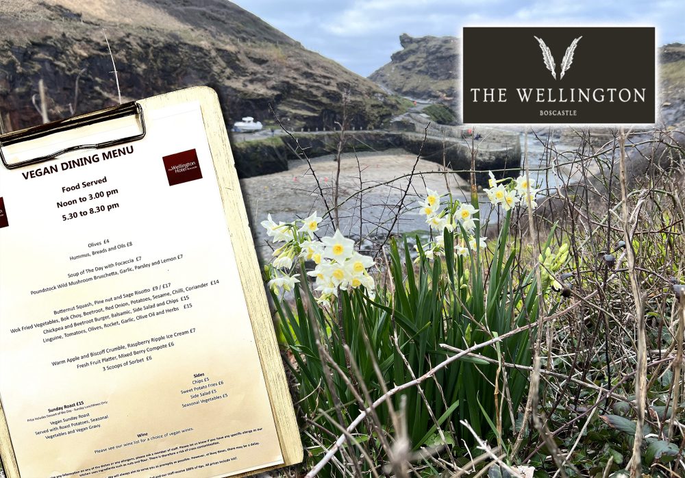 Wellington Hotel Boscastle