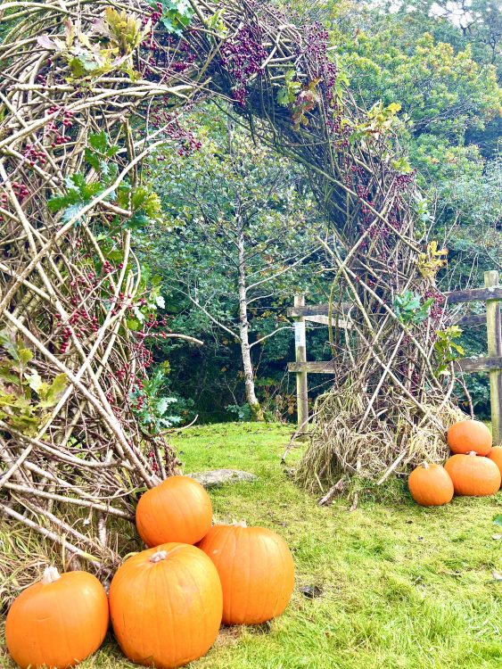 Pumpkin Arch