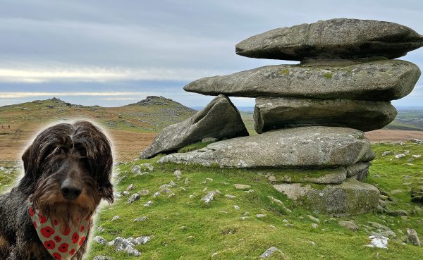 poe at rough tor