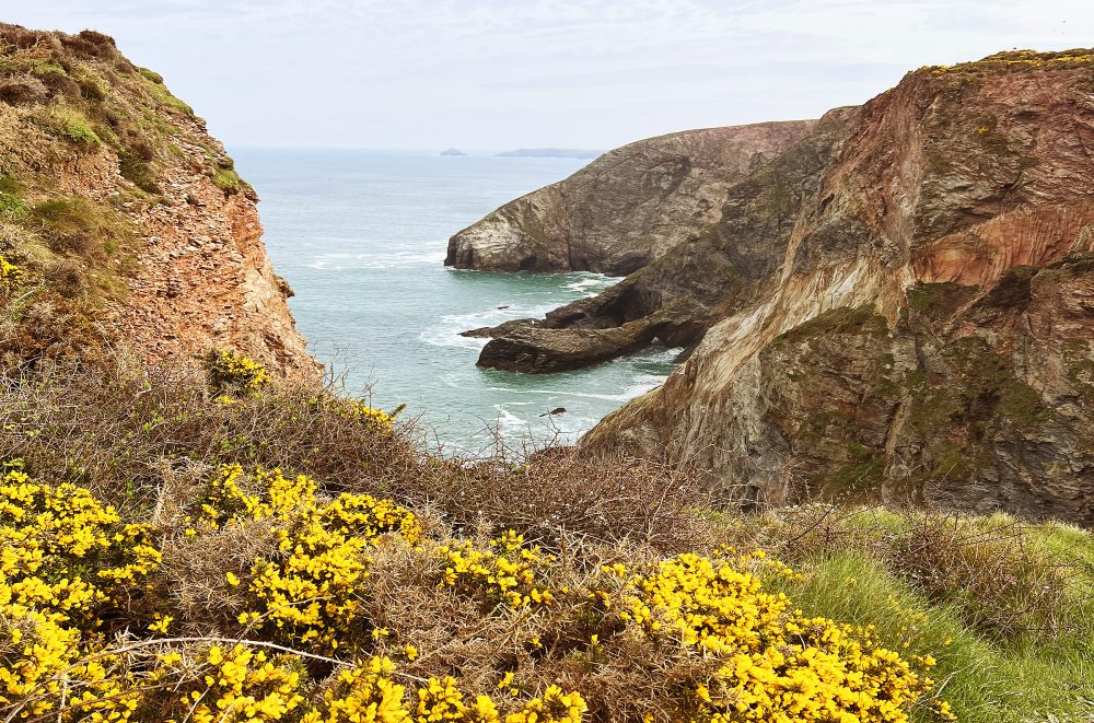 st agnes view