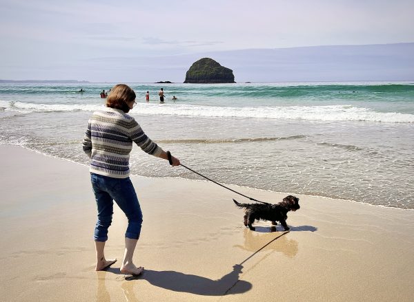 beach restrictions