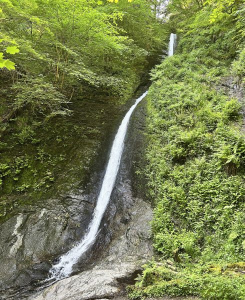 white lady falls