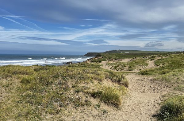widemouth sand dunes