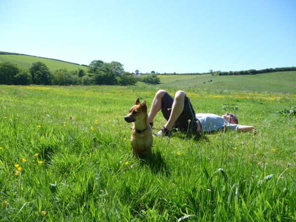 Dog Friendly Helsbury